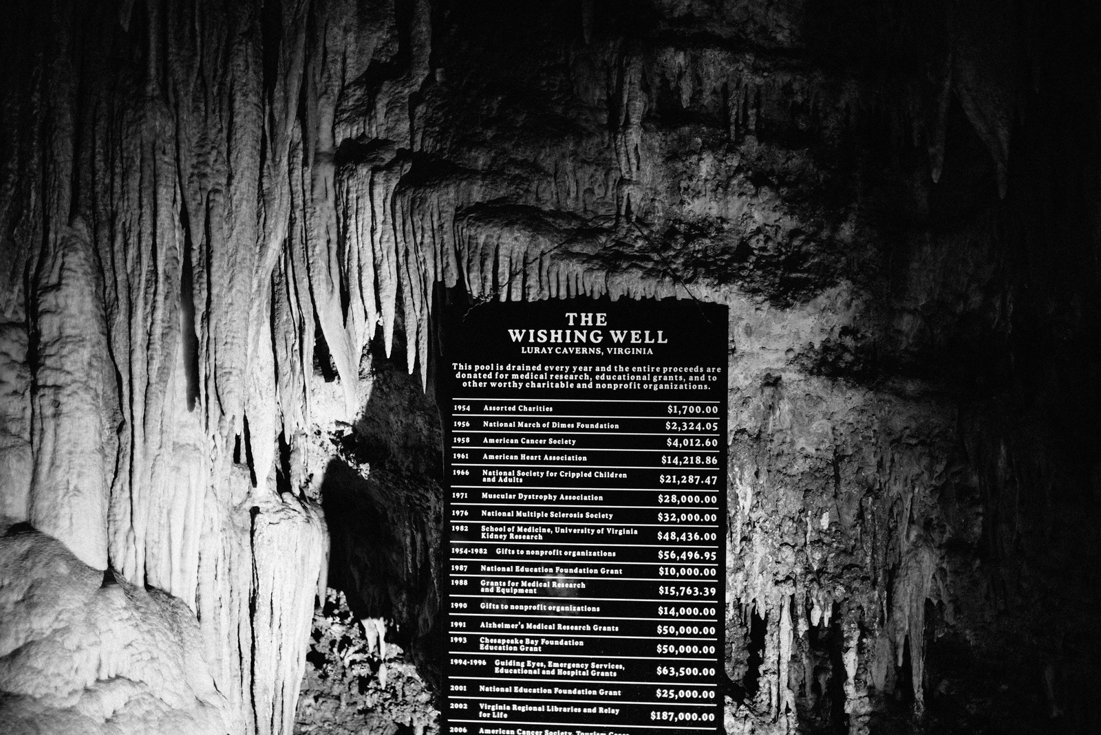 Echoes of Benevolence