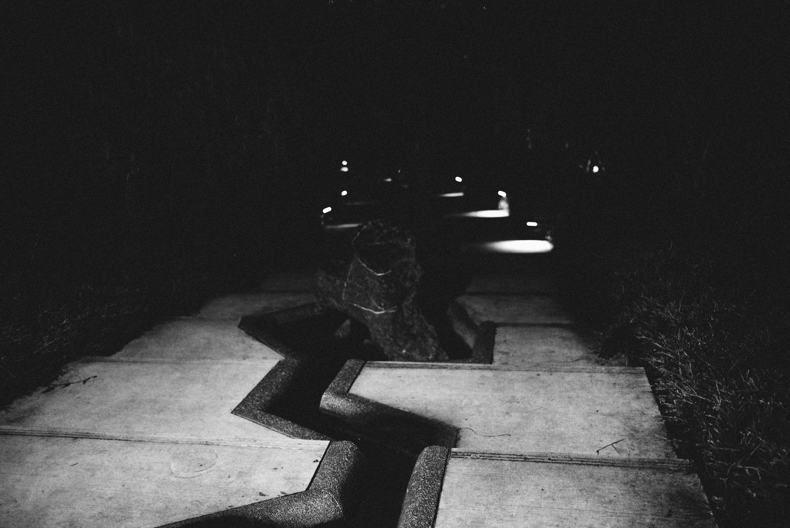 Pathway in Darkness