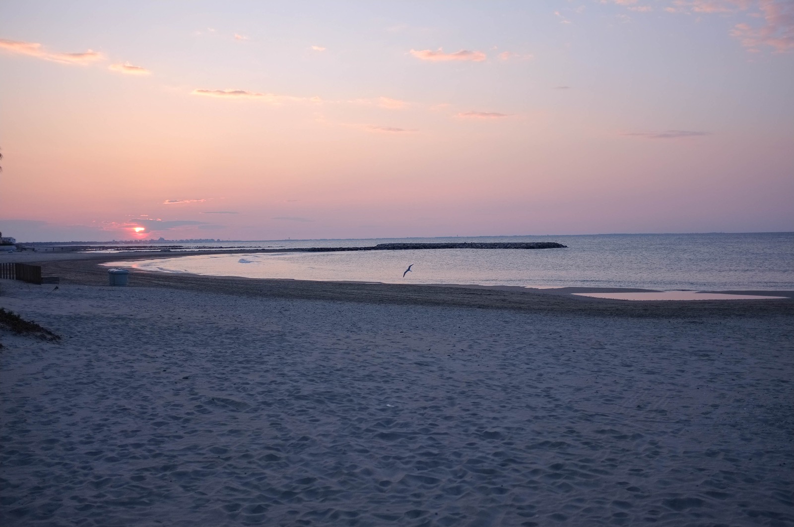 Serene Twilight by the Shore