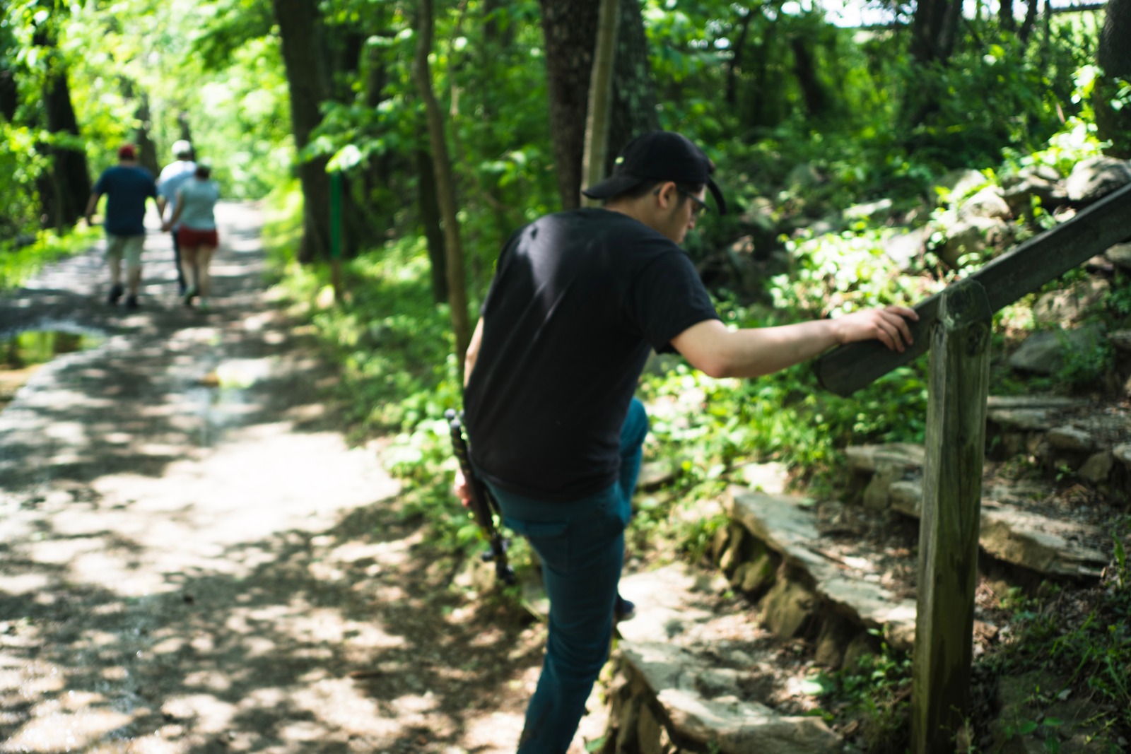 Journey Through Green Shadows