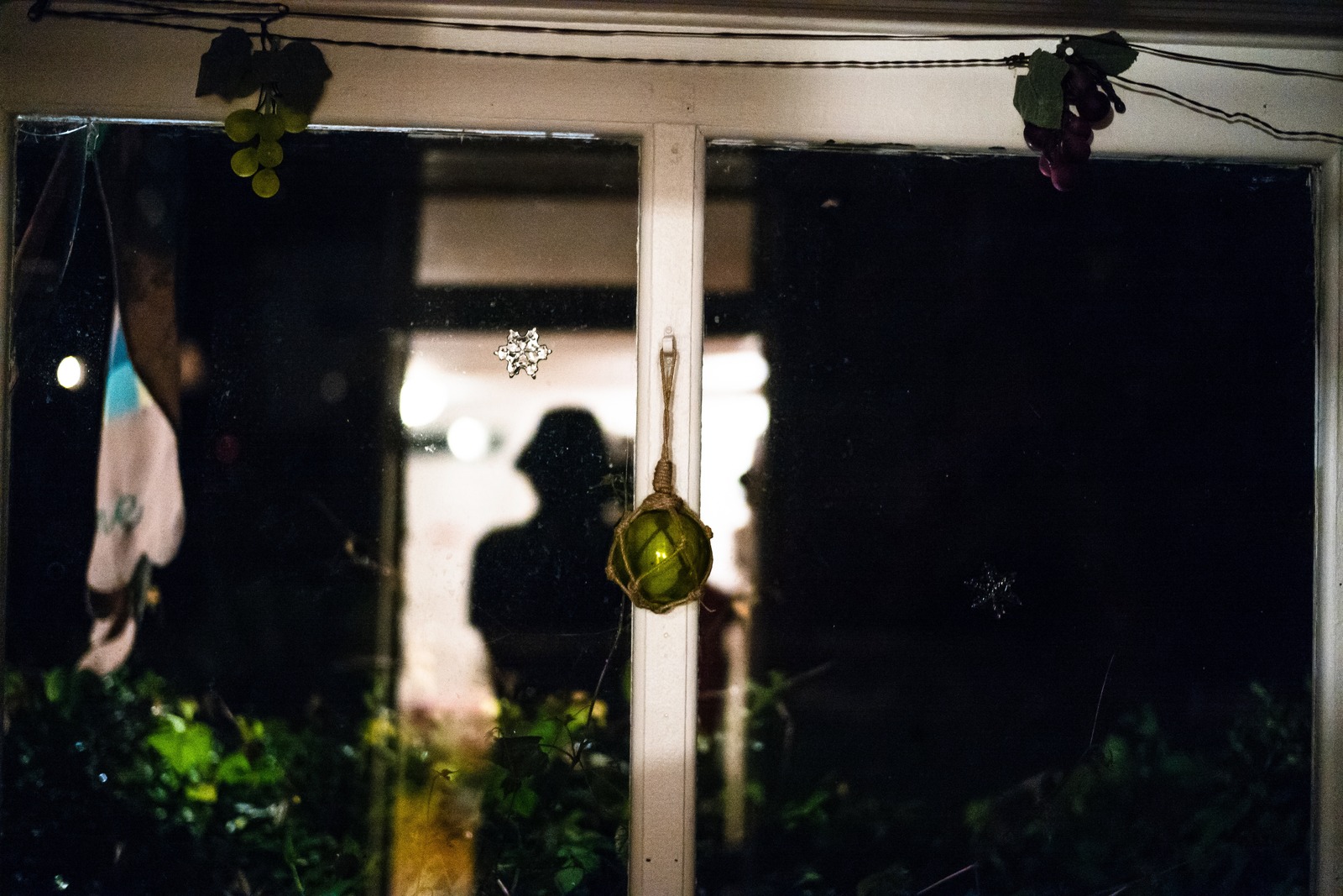 Reflections in the Window