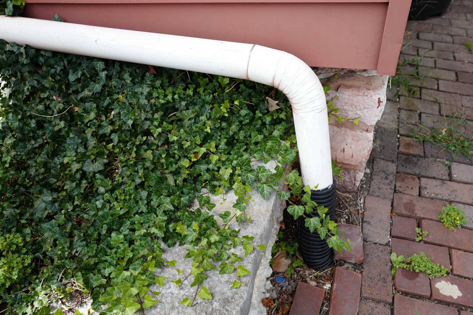 Nature Meets Architecture