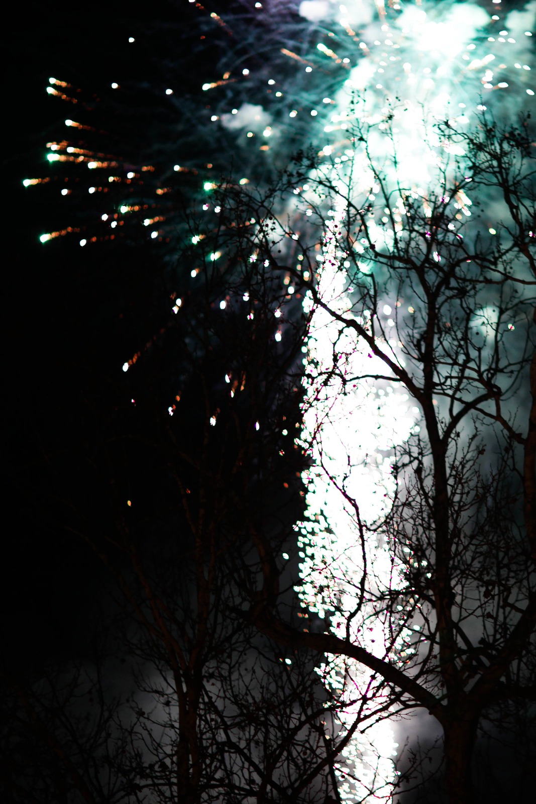 Fireworks Through Shadows