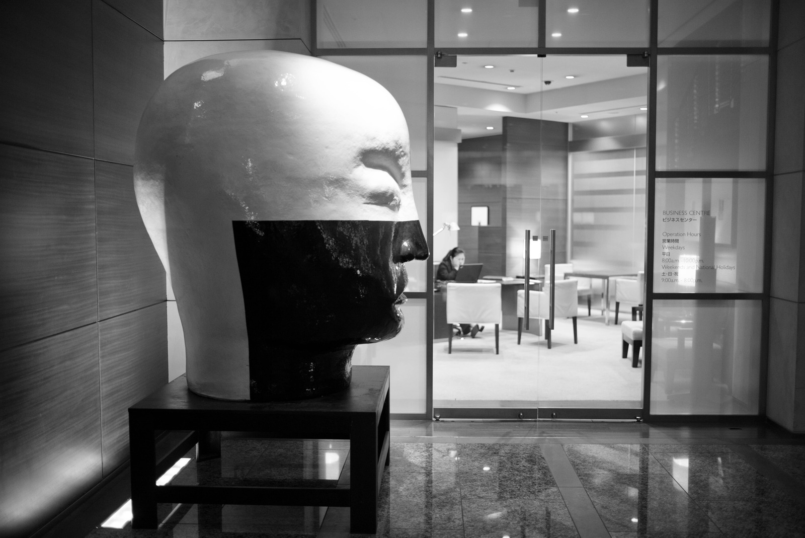 Monochrome Reflection