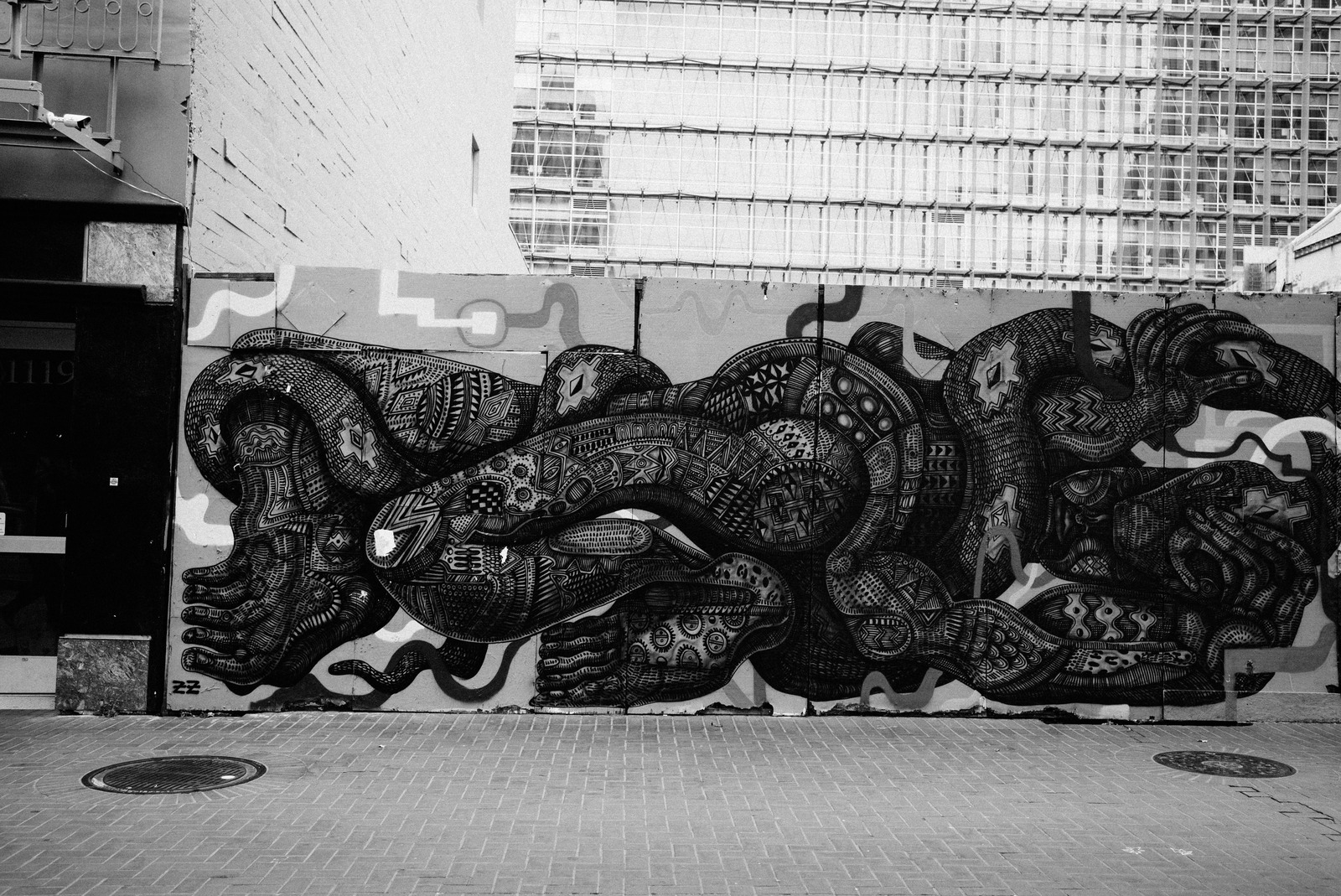 Urban Serpent