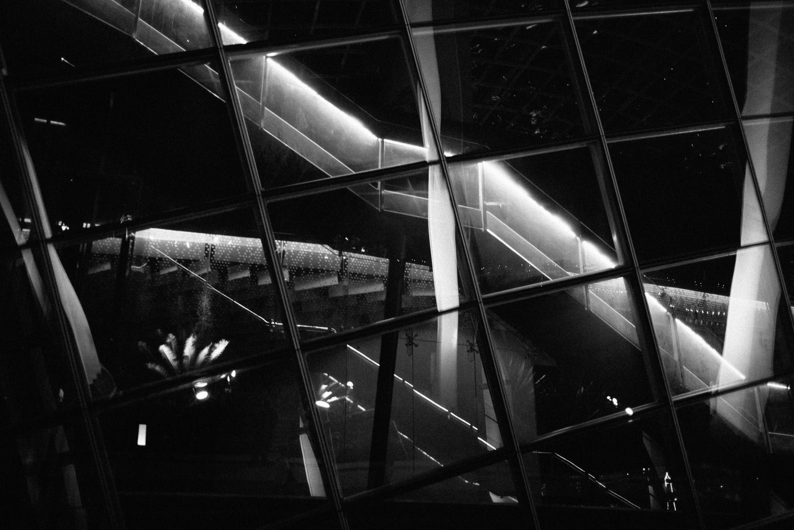 Reflections of the Night