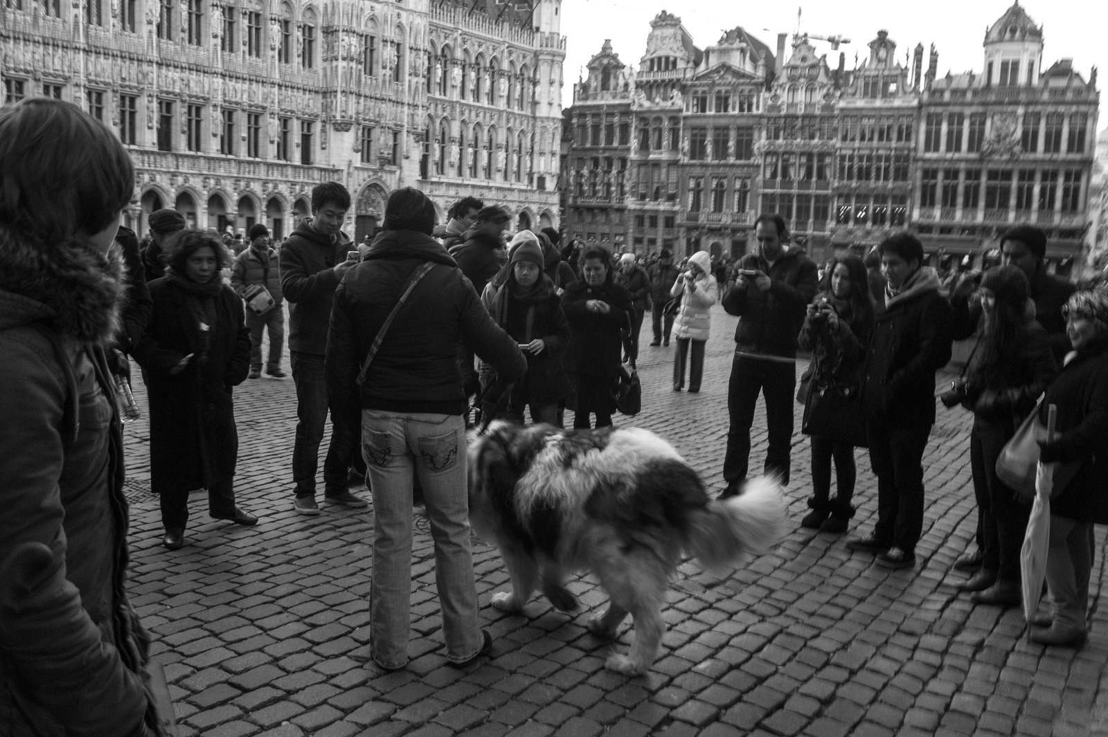 Community Gathering in Shadows