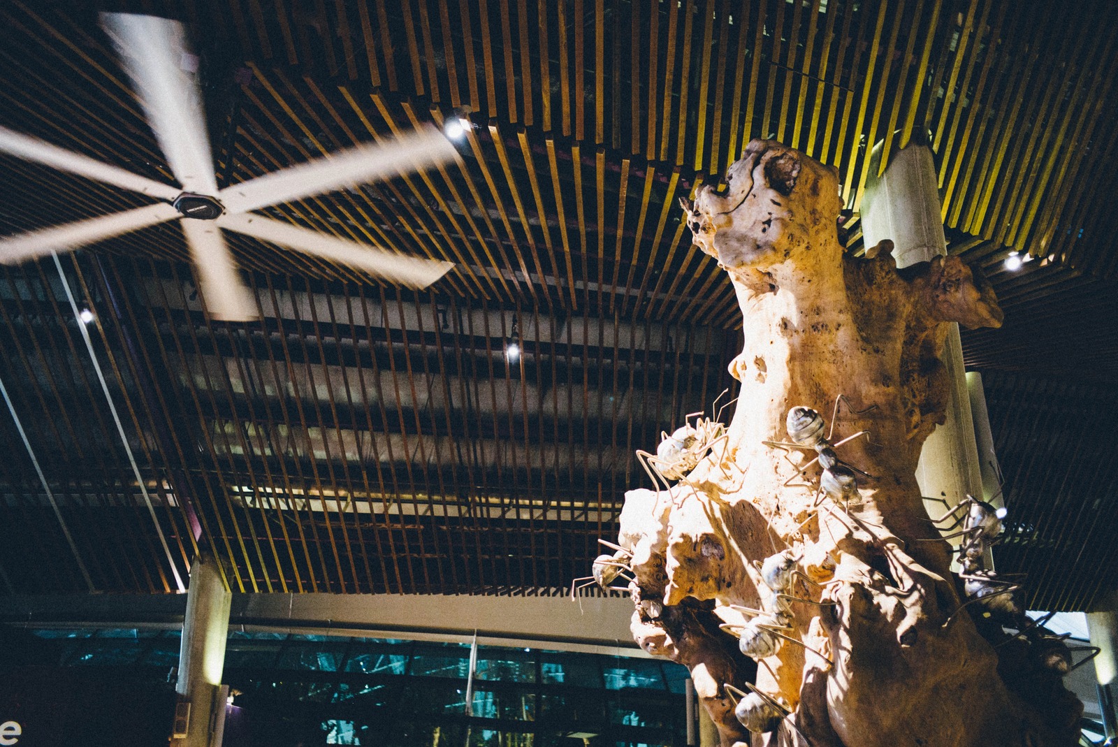 Nature Meets Modernity