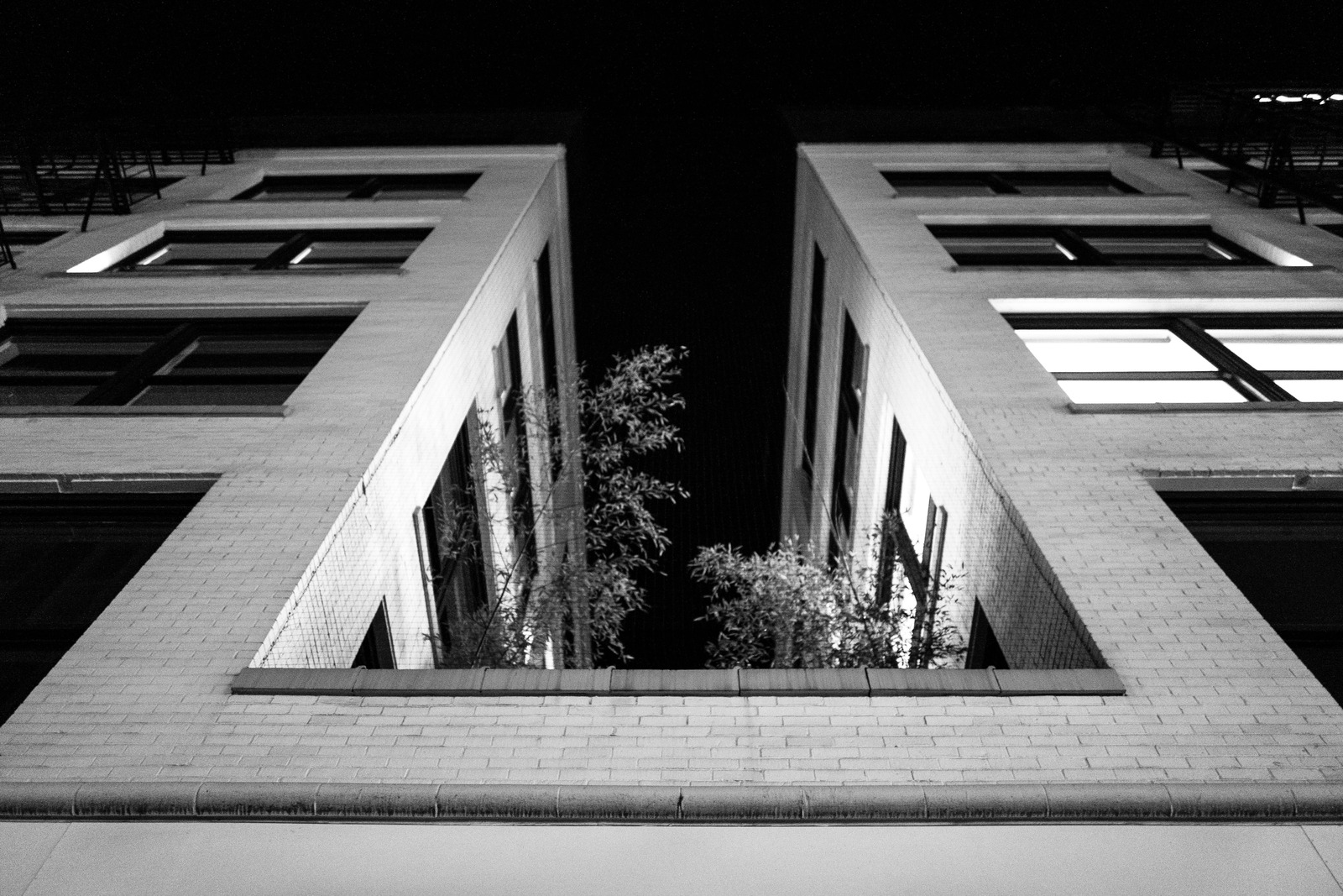 Urban Symmetry at Night