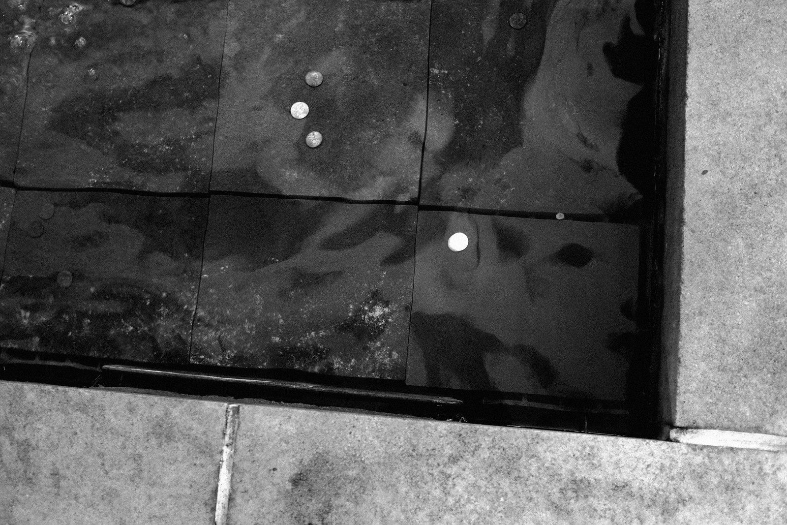 Coins on Wet Surface
