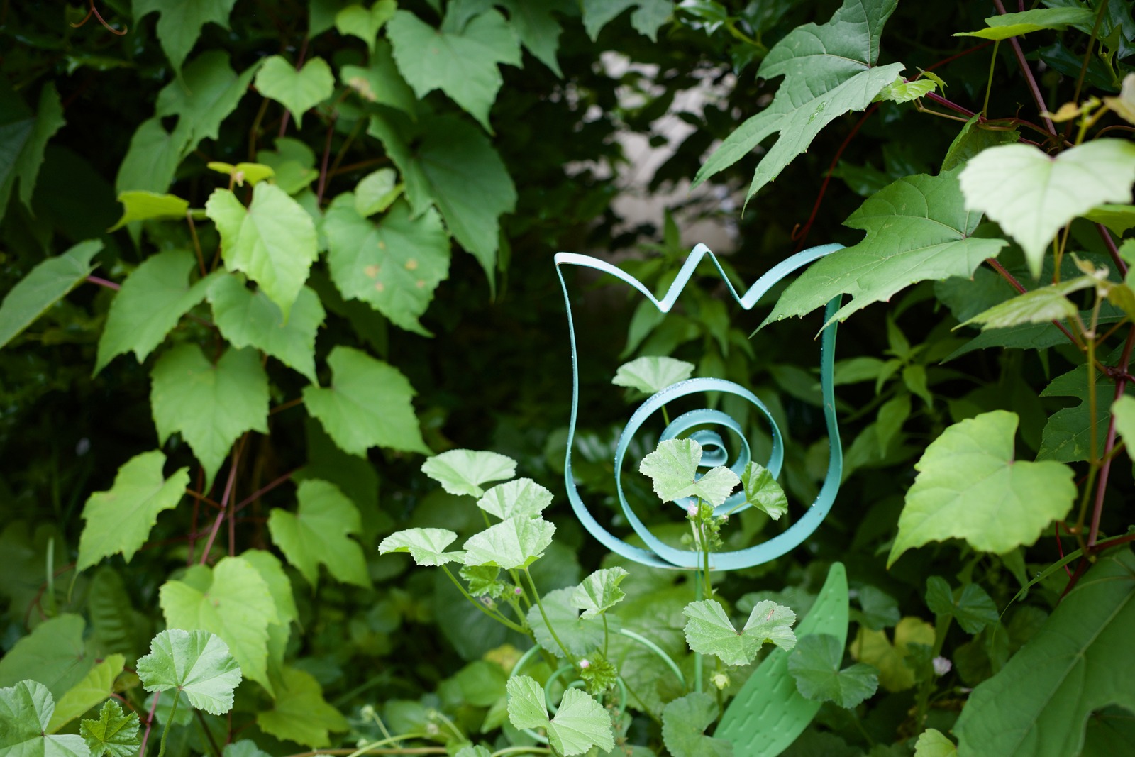 Nature's Hidden Artwork