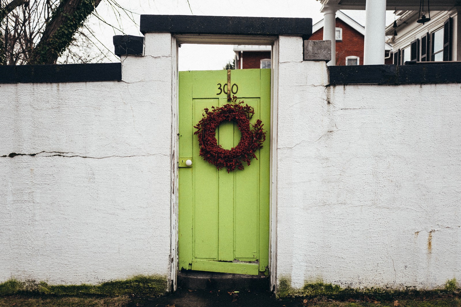 The Green Door