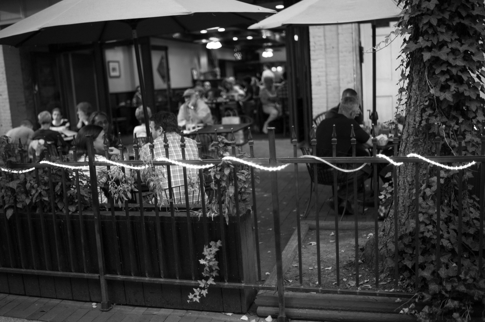 Evening at the Bistro