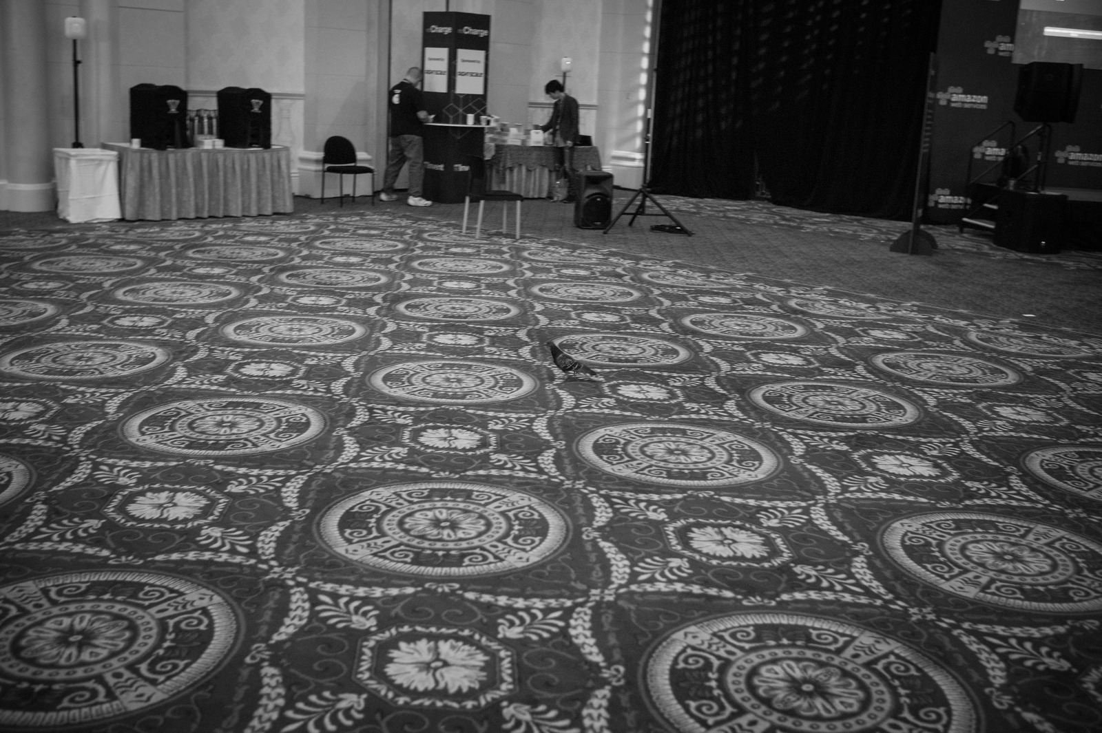 Echoes of Anticipation