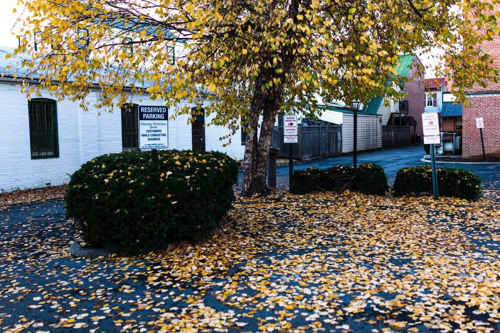 Autumn's Quiet Embrace