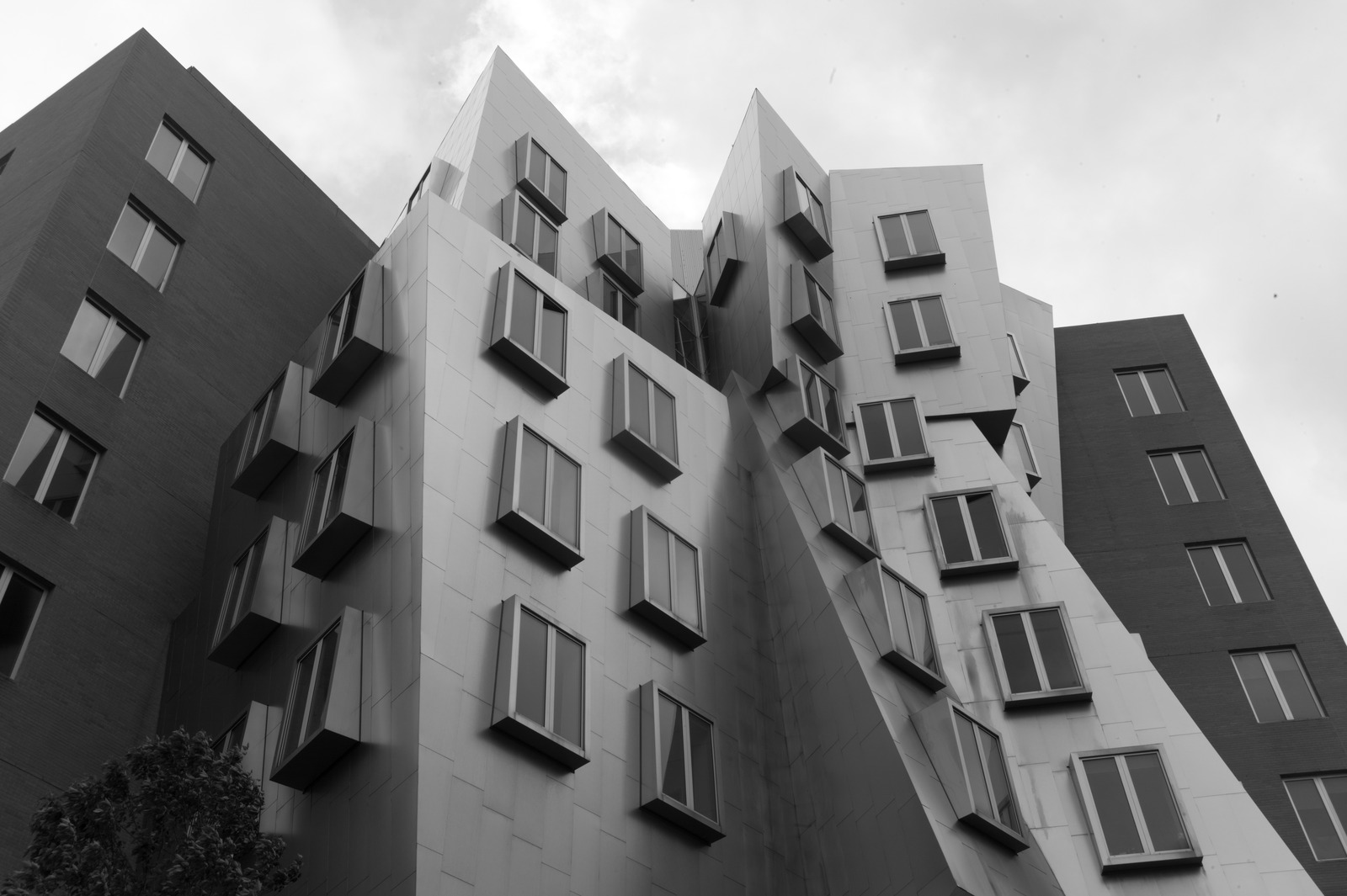 Dynamic Architectural Ascent