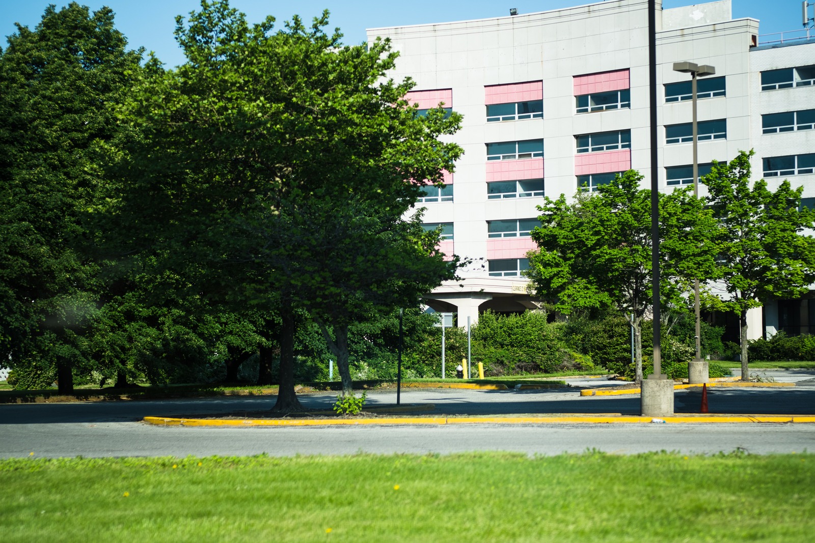 Urban Greenery Meets Architecture