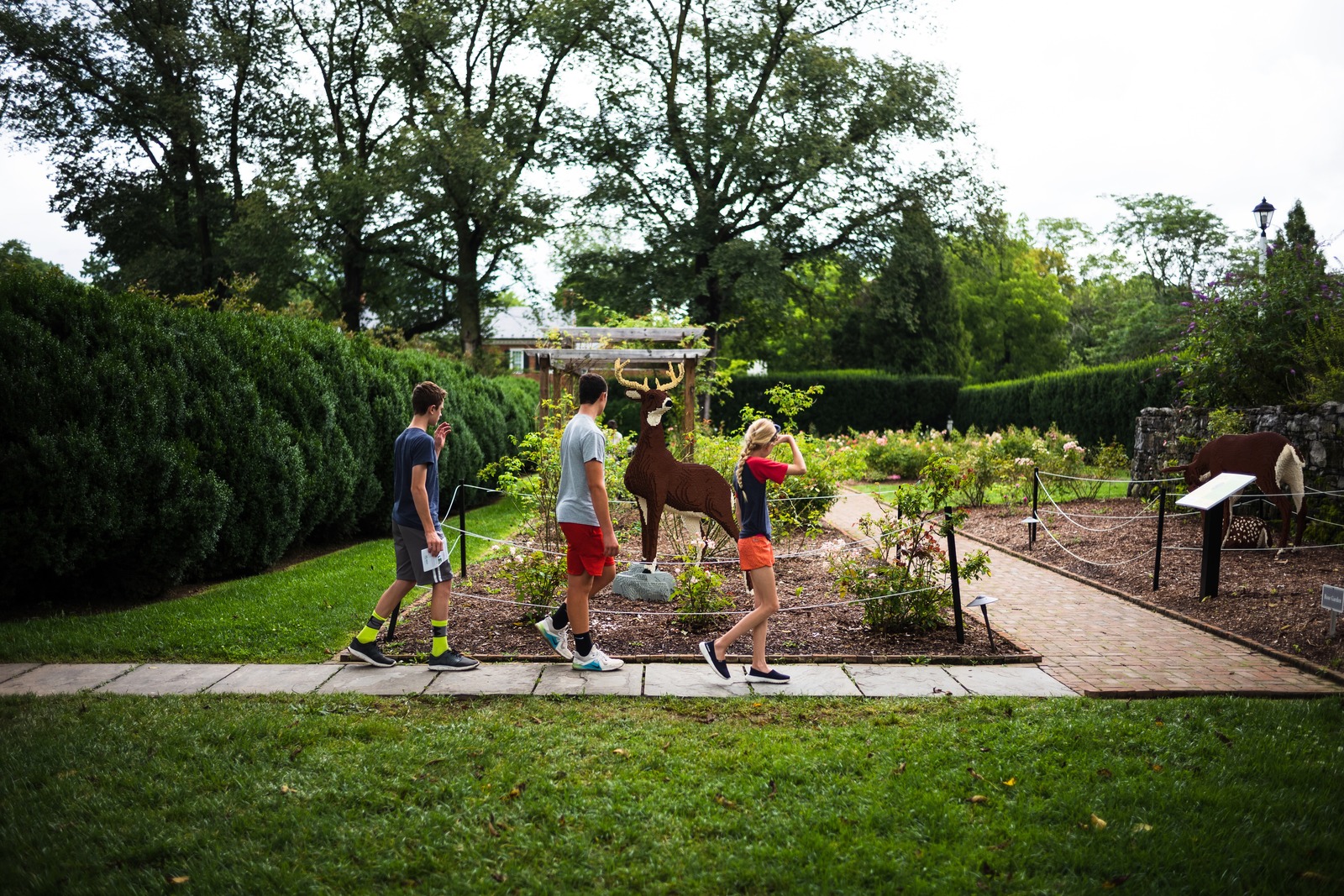 Whimsical Garden Stroll
