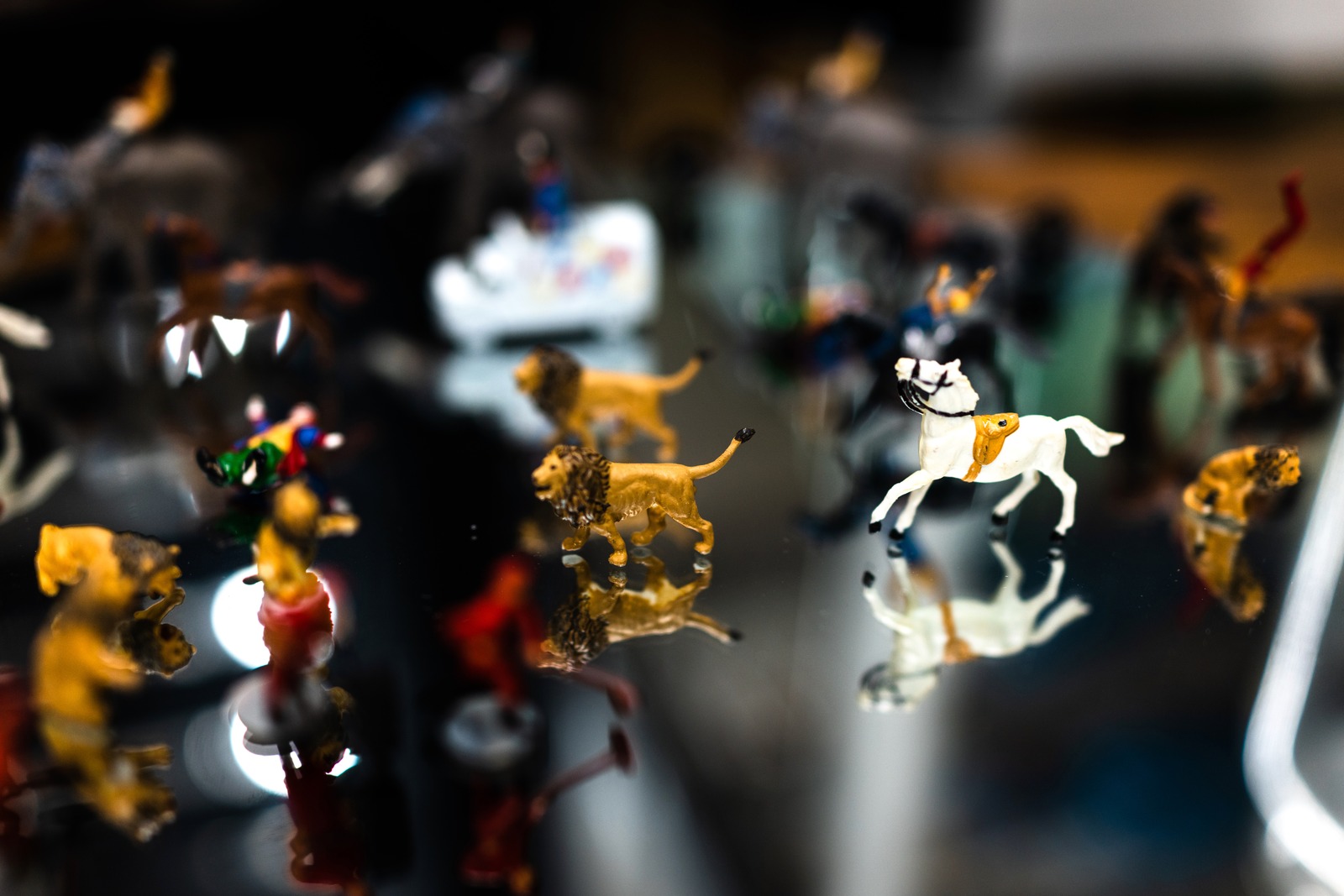 Whimsical Animal Kingdom