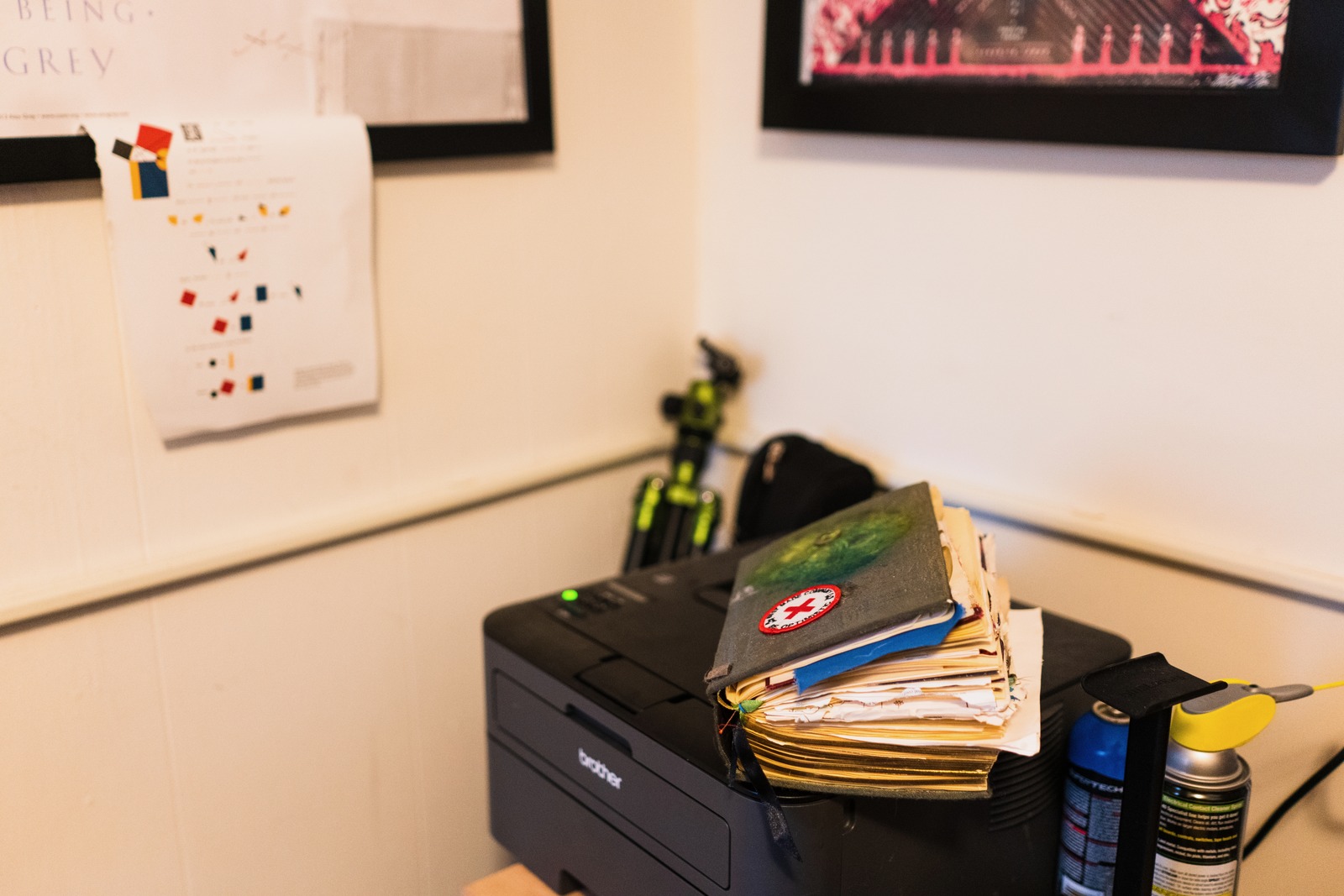 A Glimpse of Organization