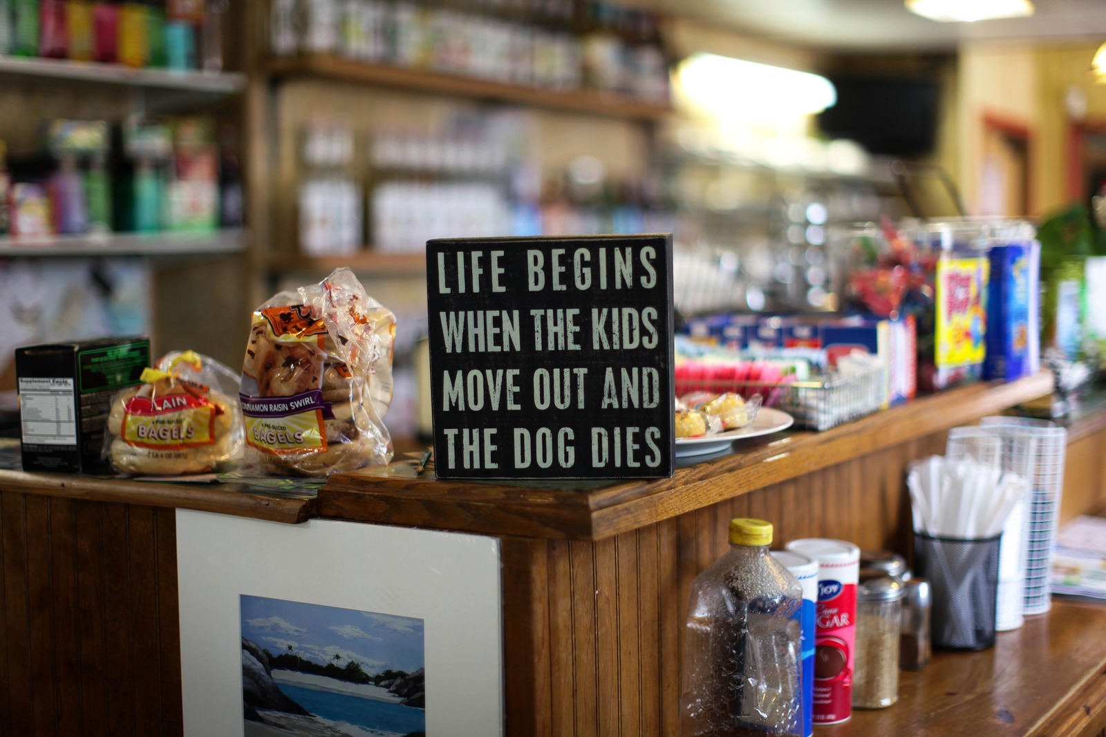Whimsical Nostalgia at the Counter