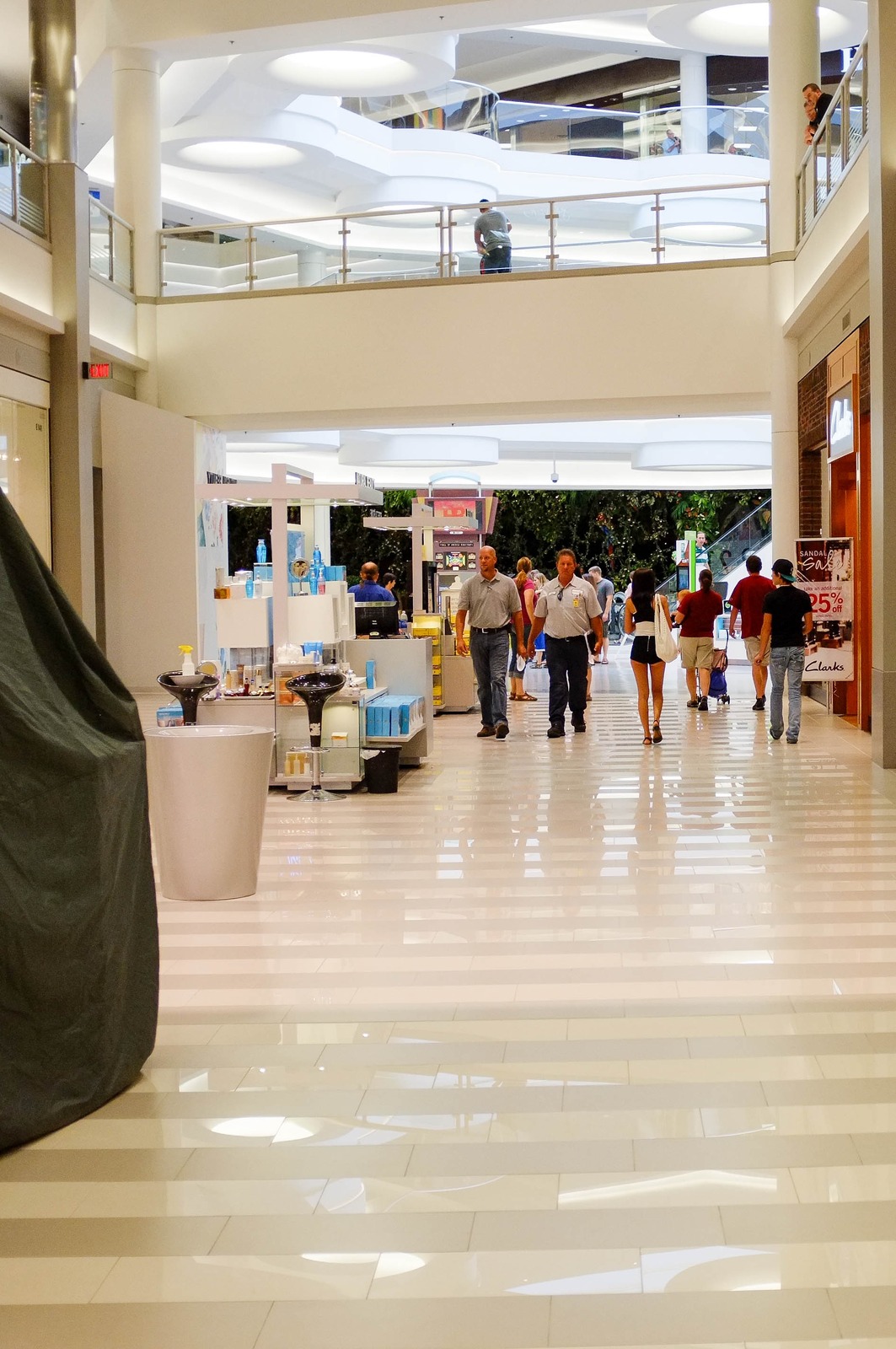 Evening Stroll in Brightness