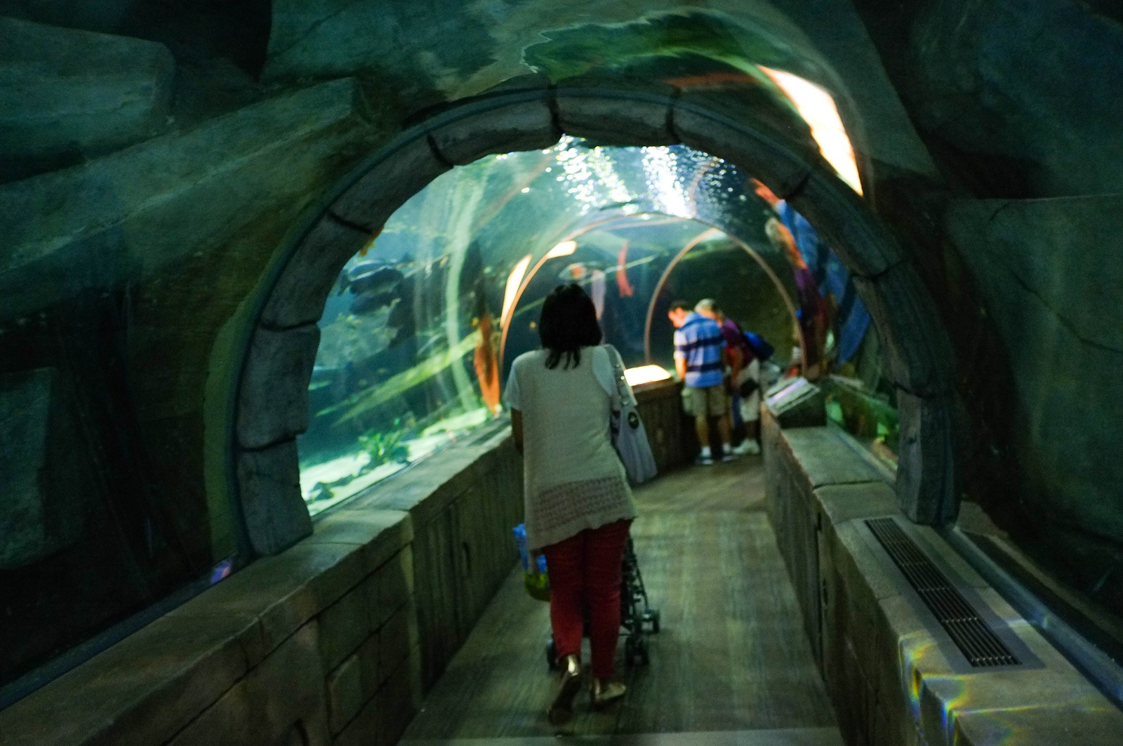 Submerged Exploration