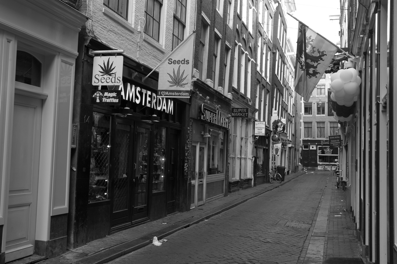 Quiet Amsterdam Alley