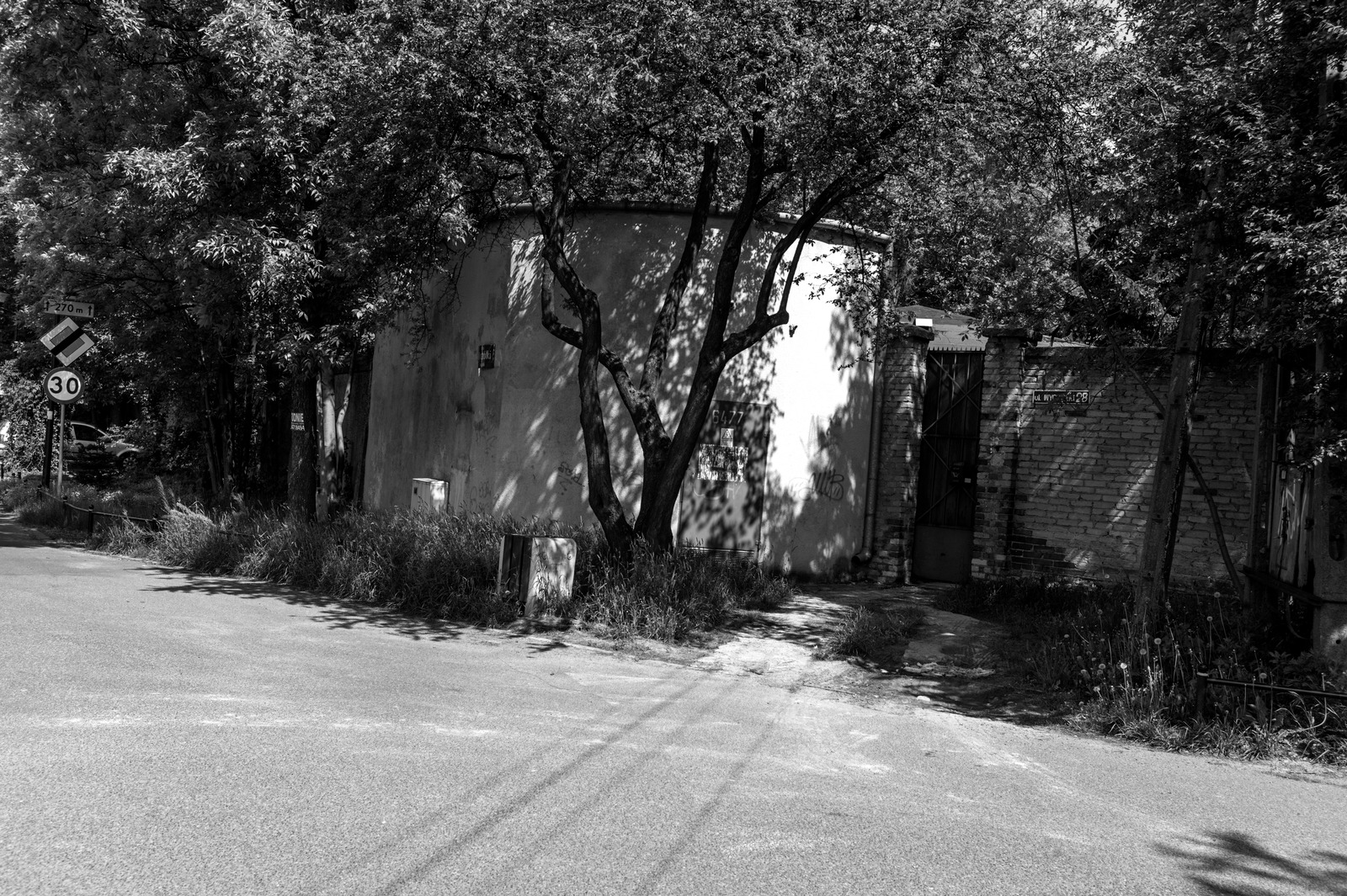 Shadows of Abandonment