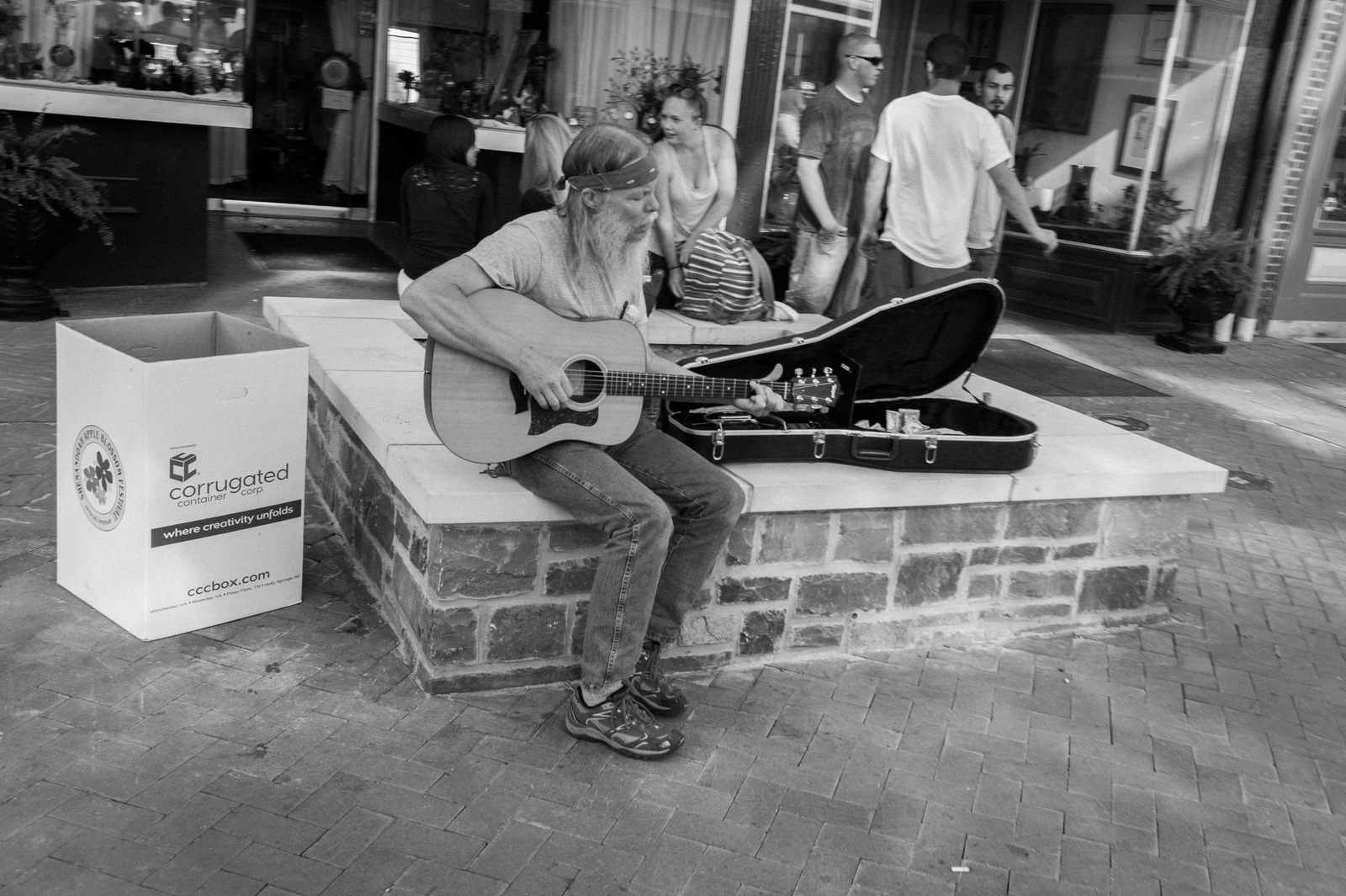 Strumming in Shadows
