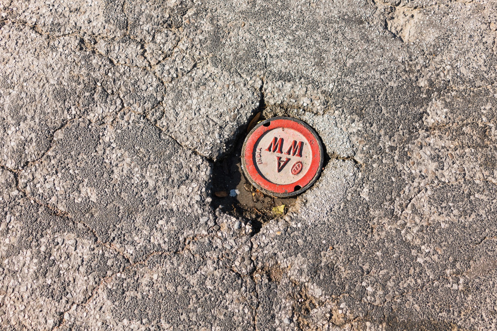 Forgotten Detail on cracked Ground