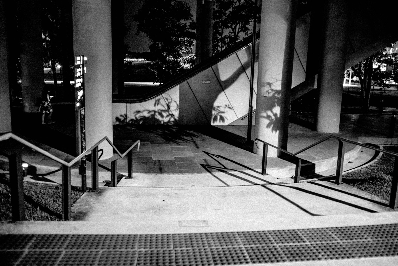 Silent Shadows of Night