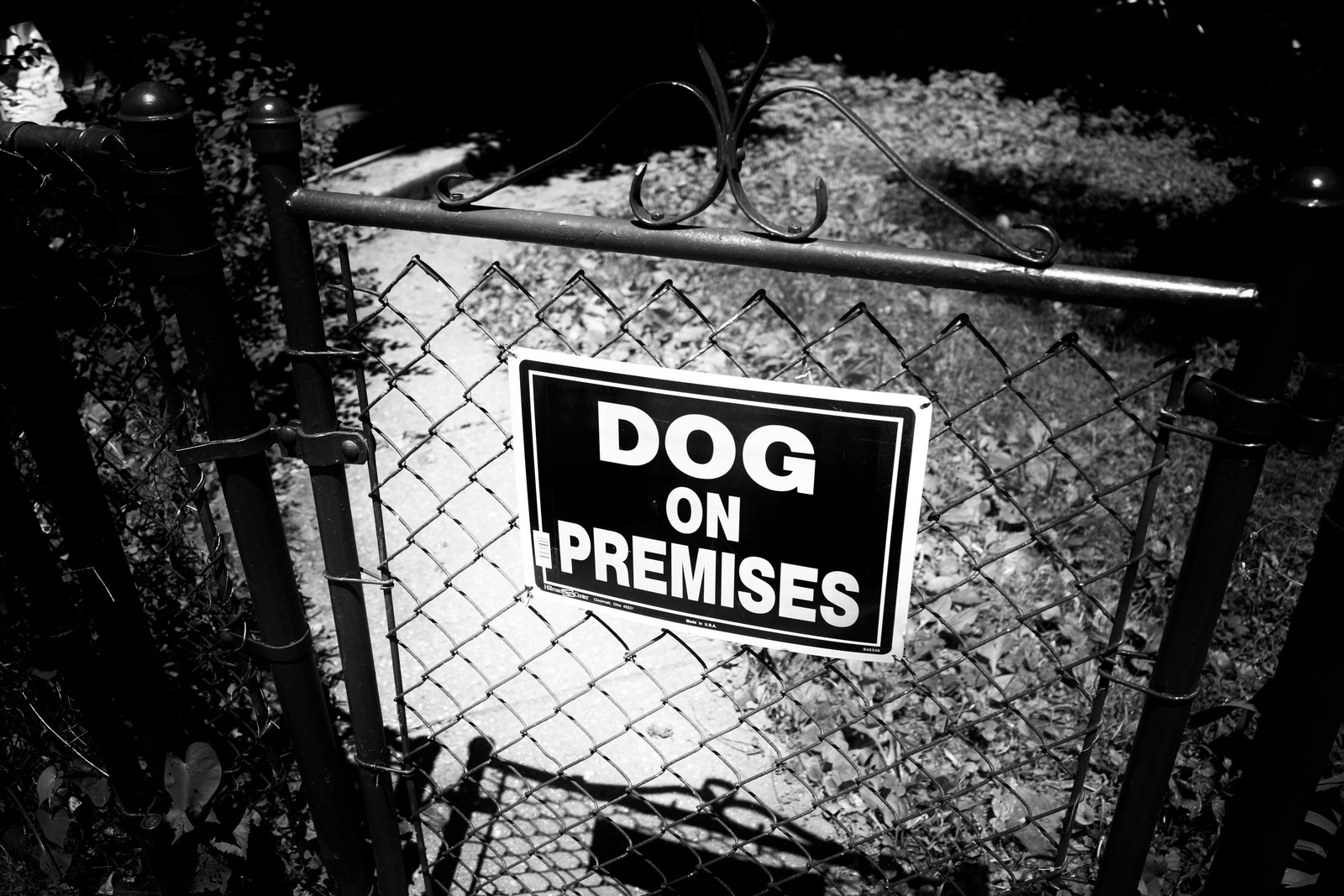 A Warning in Shadows