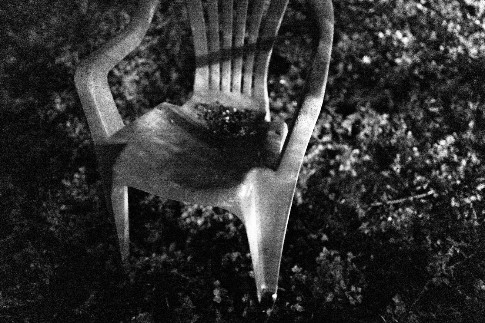 Lonely Plastic Reflection