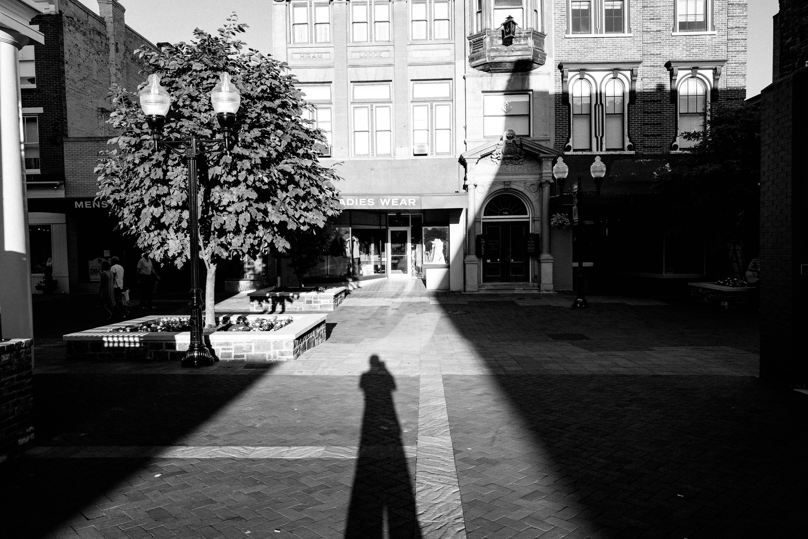 Shadows of Abandonment