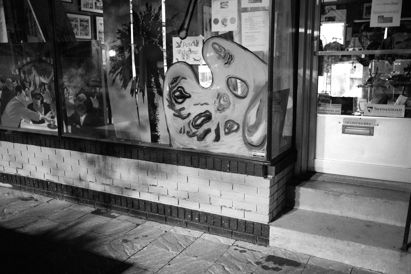 Artistic Echoes of the Night