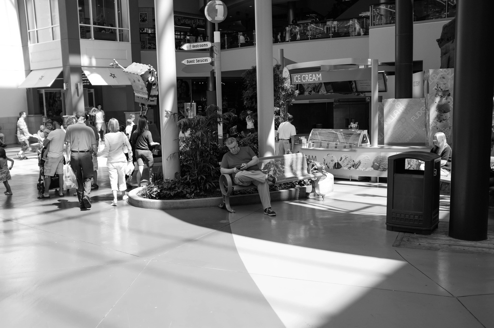 Urban Oasis of Solitude