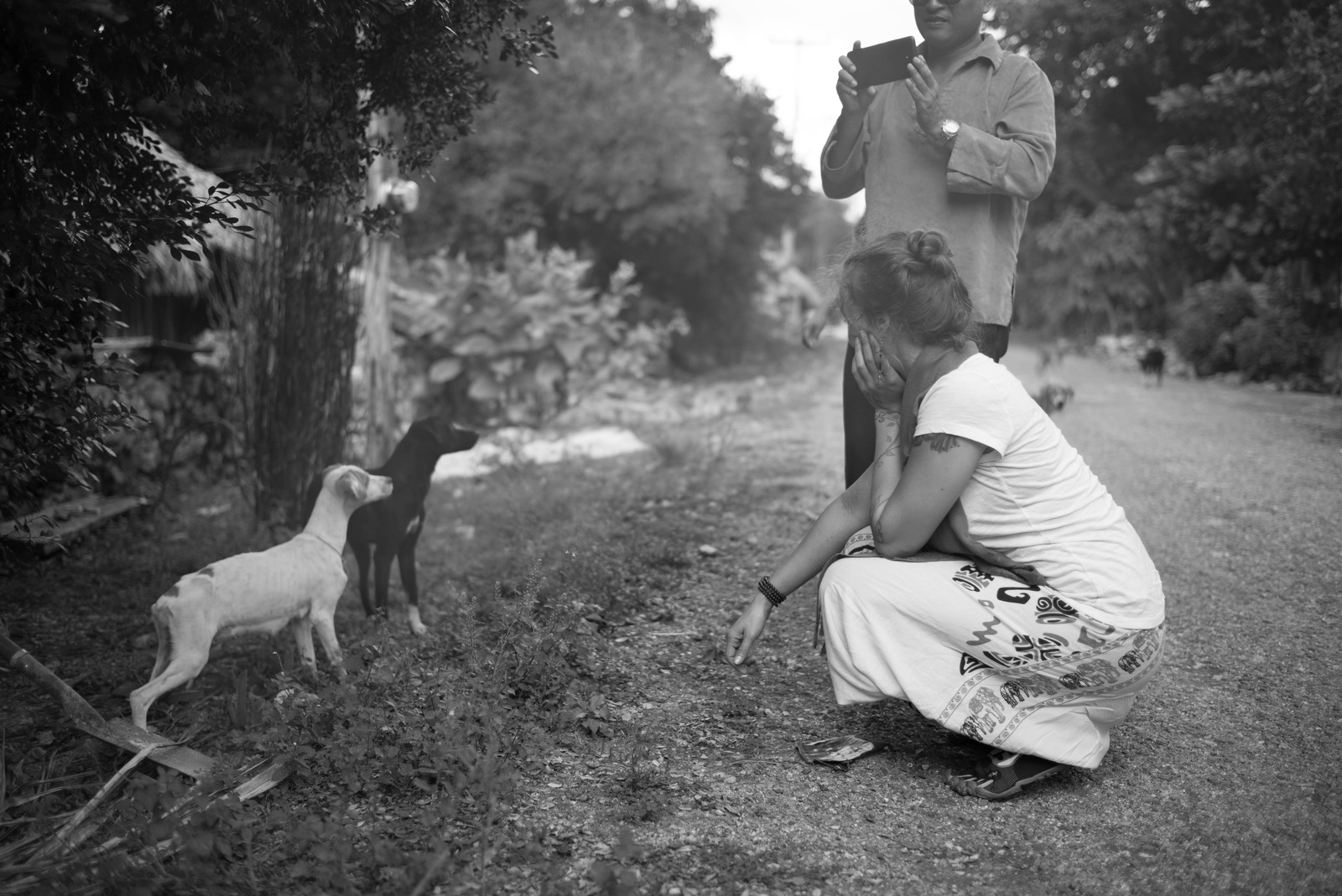 A Moment with Stray Dogs