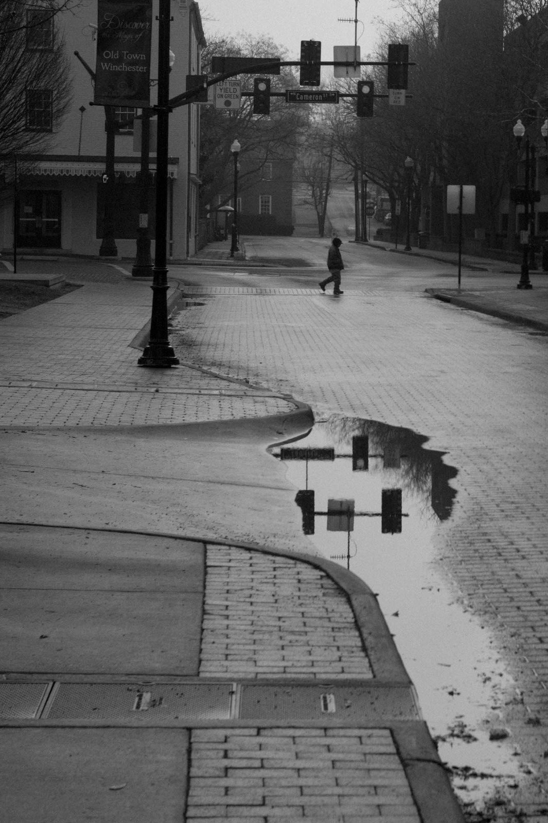 Quiet Urban Reflection