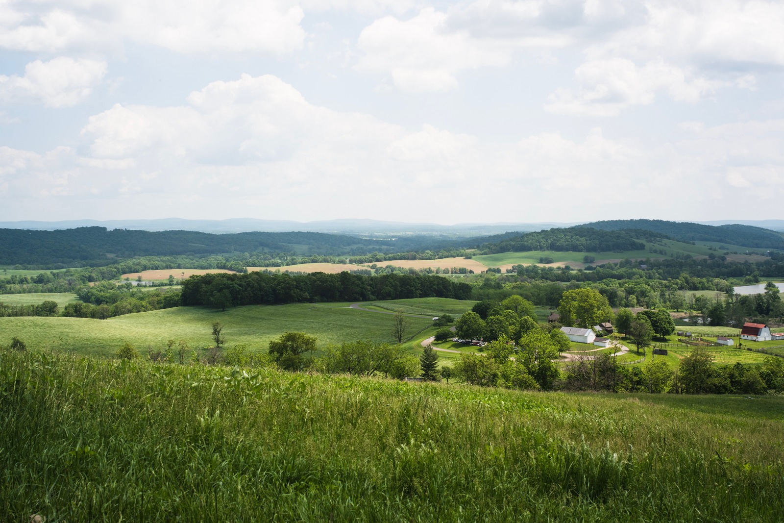 Serene Countryside Vista