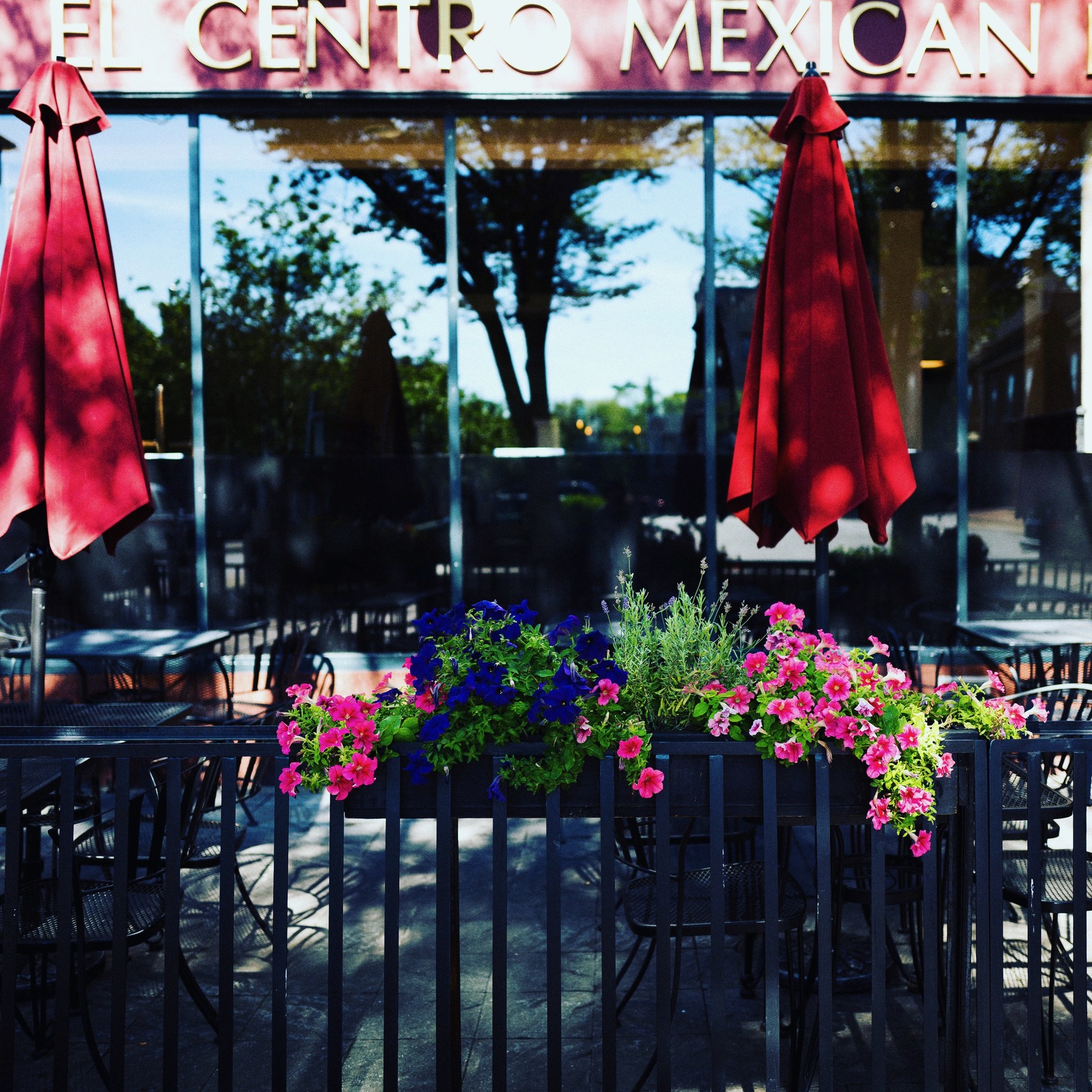Charming Patio Scene