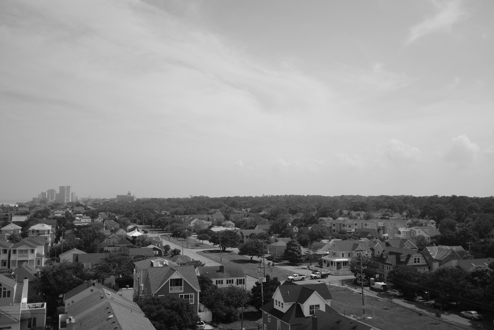 Urban Serenity in Monochrome