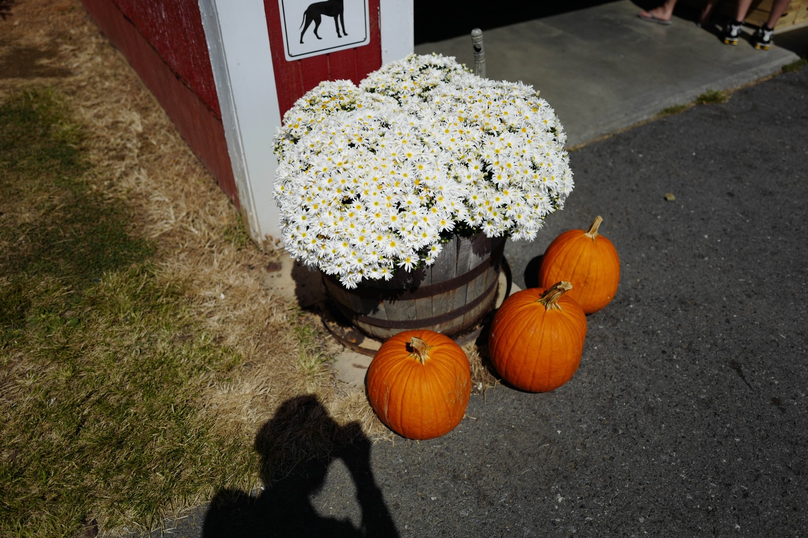 Autumn Harvest Charm