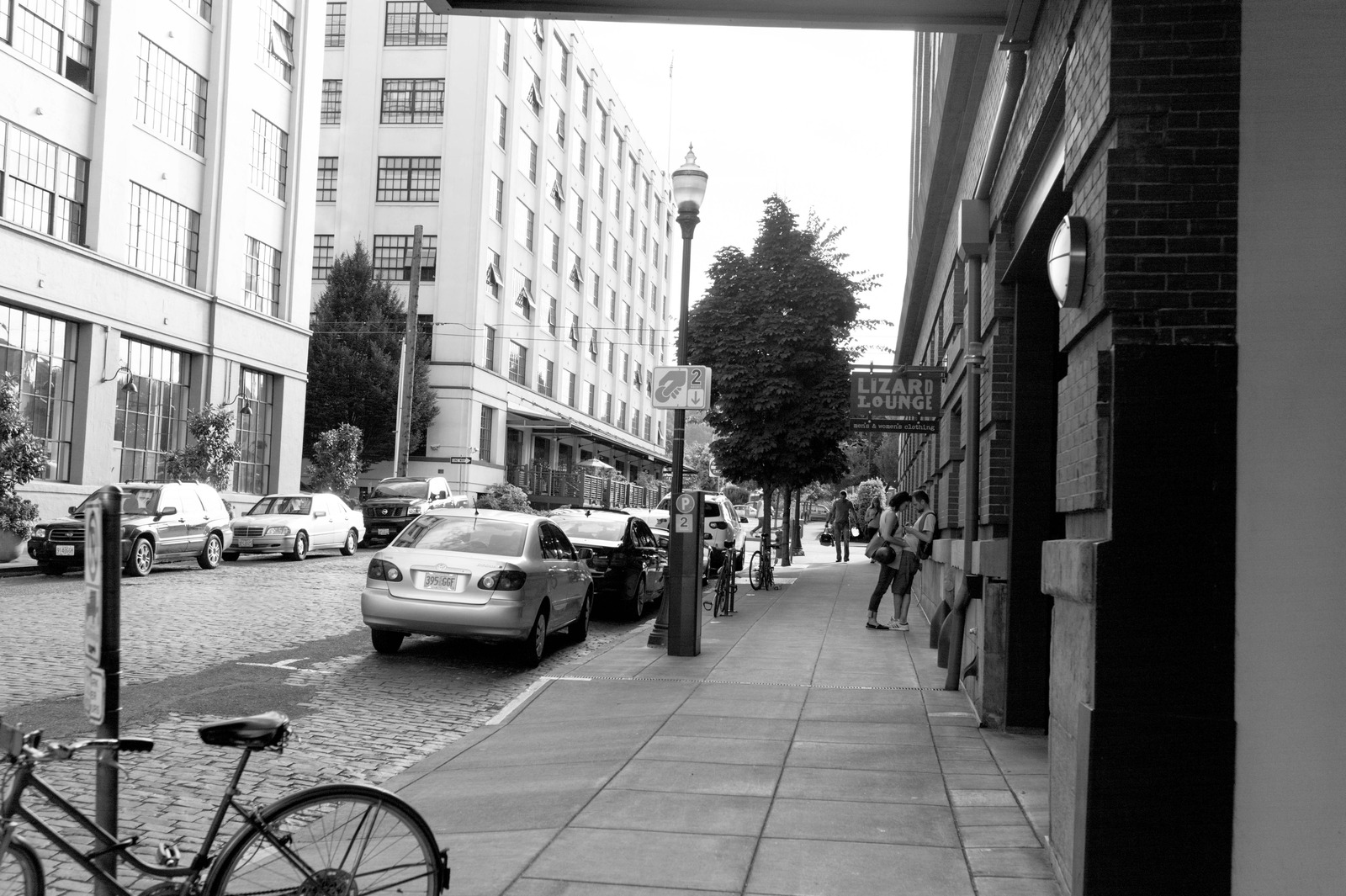 Urban Serenity in Monochrome