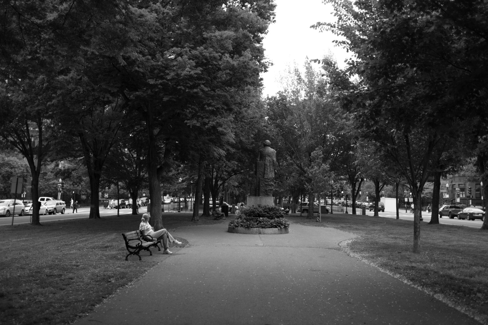 Quiet Moments in the Park