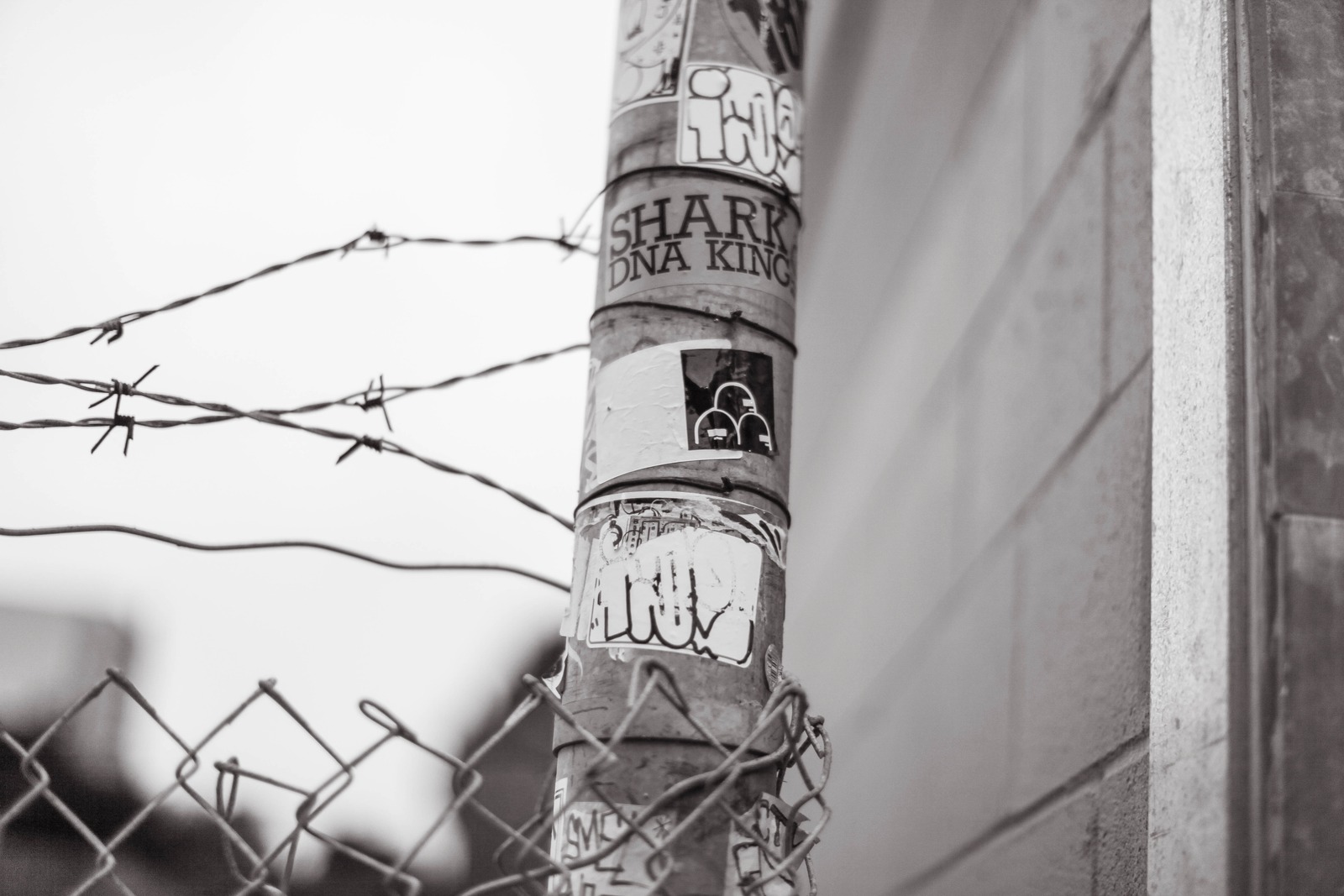 Urban Collage of Sticks and Wire