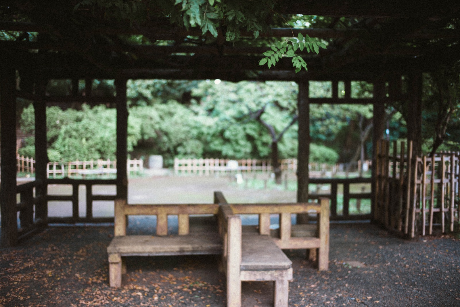 Serene Garden Shelter