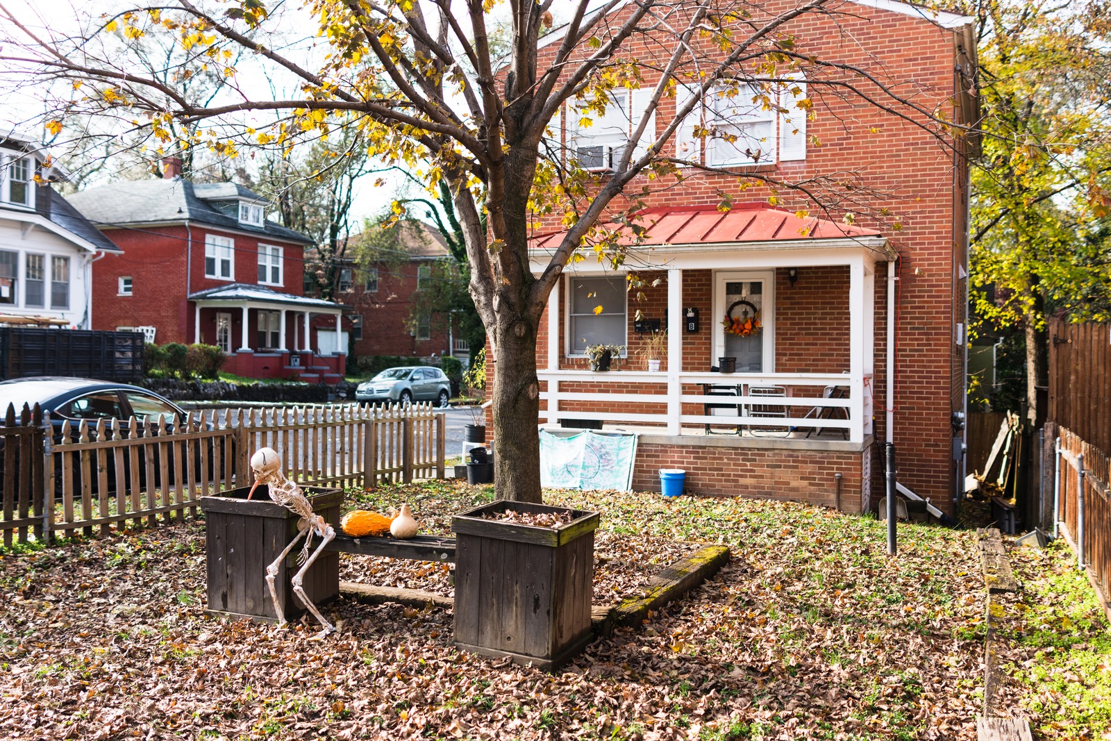 Autumn's Playful Spirit