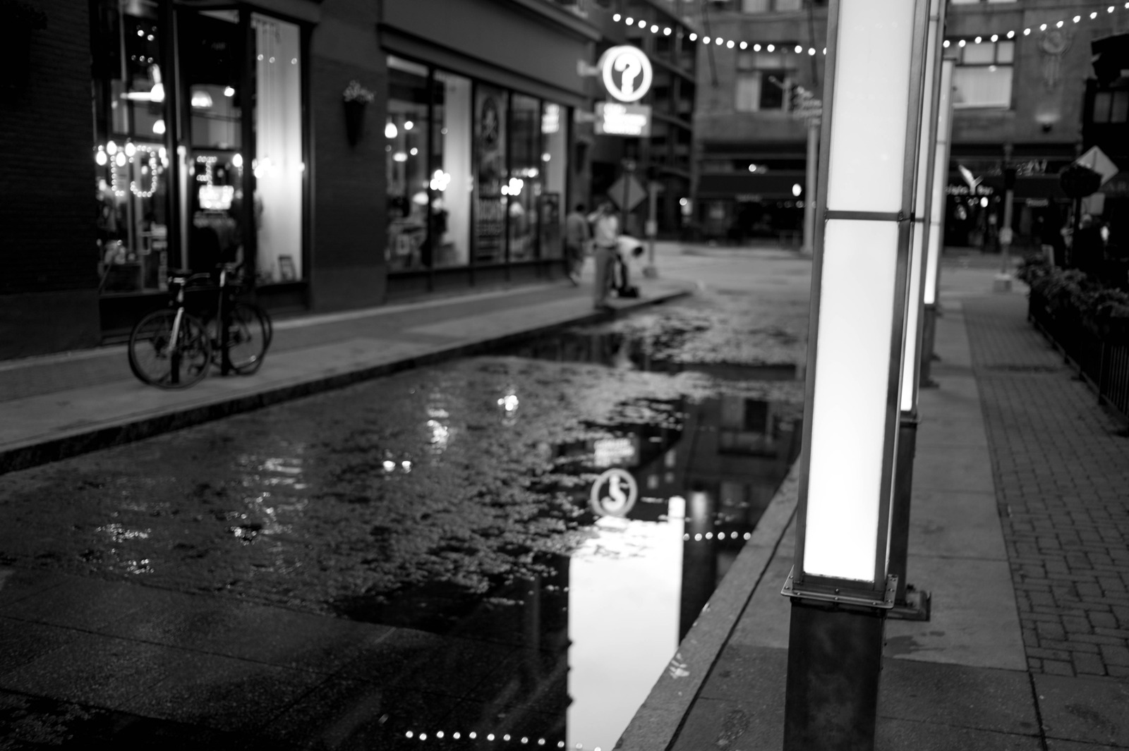 Reflections of Urban Life