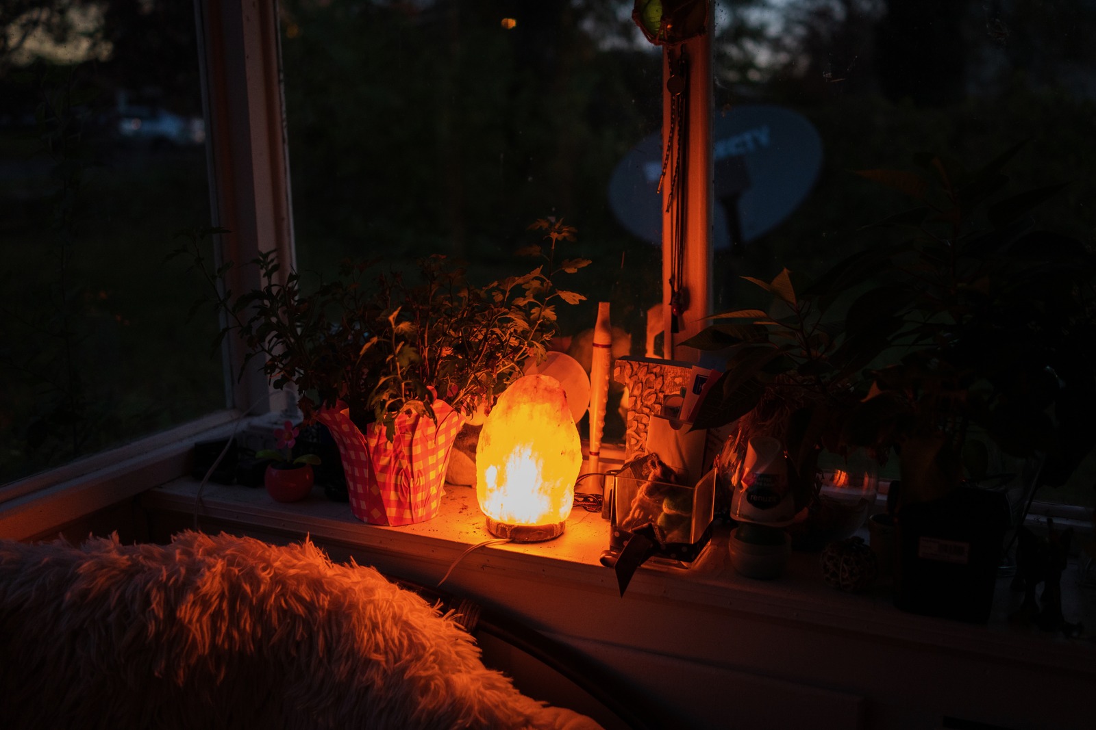 Warm Glow of Home